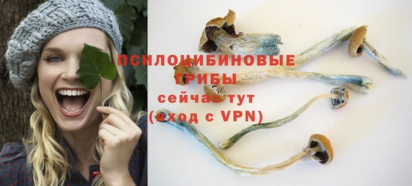 бошки Алзамай