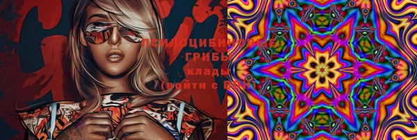 спиды Алексин