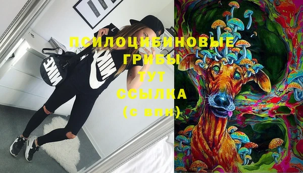 бошки Алзамай