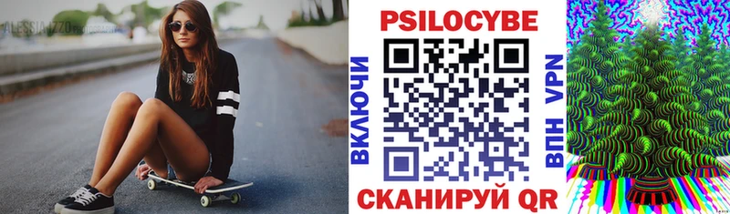 Псилоцибиновые грибы Psilocybe  Ардатов 